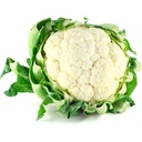 CAULIFLOWER - CHOU FLEUR 