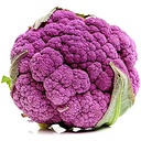 CAULIFLOWER PURPLE -  CHOU FLEUR VIOLET 