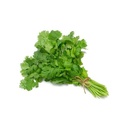 CHERVIL -BUNCH CERFEUIL - BOTTE