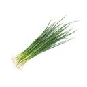 CHIVES THAI - CIBOULETTE THAI 