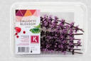 CRESS ZALOTTI CRESS ZALOTTI