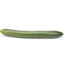 CUCUMBER LONG - CONCOMBRE LONG