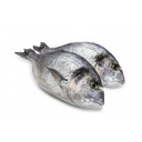 DORADE ROYALE 180/200GR -  SNAPPER FILET 180/200GR 