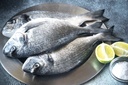 DORADE ROYALE 3/400GR GRECE -ROYAL SEA BREAM 3/400GR GREECE