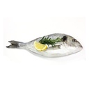 DORADE ROYALE 3/4KG GASCOGNE -ROYAL SEA BREAM 3/4KG GASCOGNE