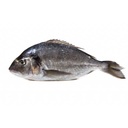 DORADE ROYALE 8/1000GR ATLANTIQUE NORD EST -ROYAL SEA BREAM 8/1000GR ATLANTIC N/EST