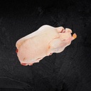 DUCK WHOLE KOSHER - CANARD ENTIER CACHER