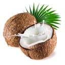 FRESH COCONUT - PC COCO FRAICHE - PC