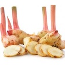 GALANGAL THAI GINGER KG - GALANGAL KG