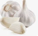 GARLIC WHITE - AIL BLANC 