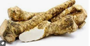 HORSERADISH - RAIFORT 
