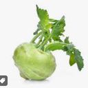 KOHLRABI - CHOUX RAVE 