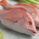 LEAN FISH 3/4KG FARM RED LABEL – MAIGRE 3/4KG ÉLEVAGE