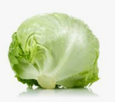 ICEBERG LETTUCE - SALADE ICEBERG 