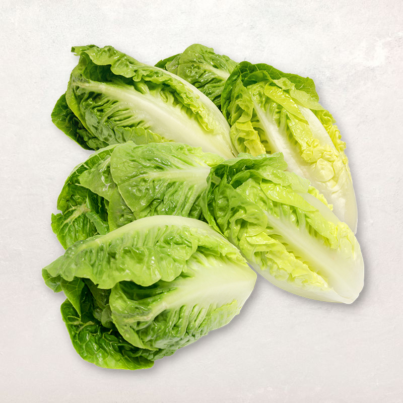 LETTUCE BABY GEM 6 PCS - SUCRINE 6 PCS 