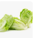 LETTUCE BUTTER - PC SALADE COEUR DE LAITUE - PC