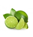 LIME EXTRA - CITRON VERT EXTRA