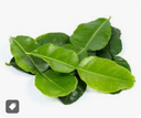 LIME LEAVES, KAFFIR, 100GR FROZEN KAFFIR, FEUILLES DE CITRONNIER 100GR