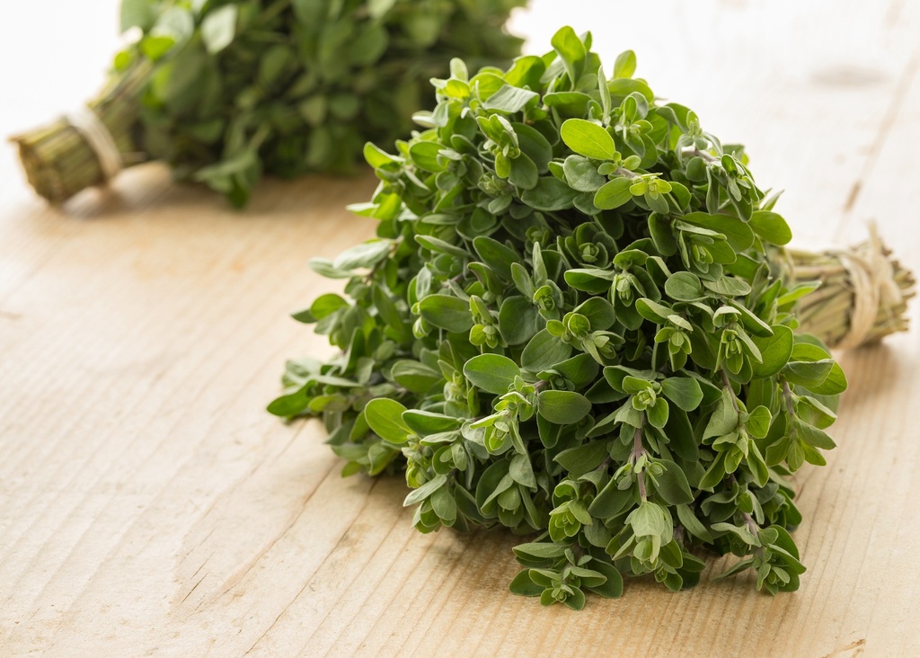 MARJORAM - BUNCH MARJOLAINE - BOTTE