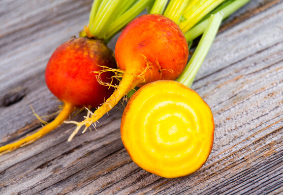 MINI BEETROOT YELLOW - MINI BETTERAVE JAUNE