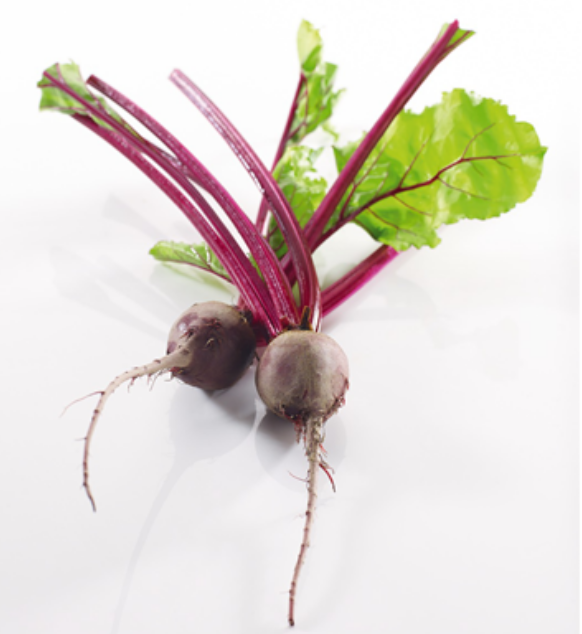 MINI CHIOGGIA 25PCS - MINI BETTERAVE CHIOGGIA 25PCS