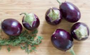 MINI EGGPLANT - MINI AUBERGINE 