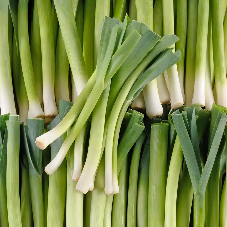 MINI LEEKS PNT- MINI POIREAUX BQT