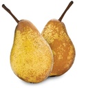 MINI PEAR ROCHA - MINI POIRE ROCHA 