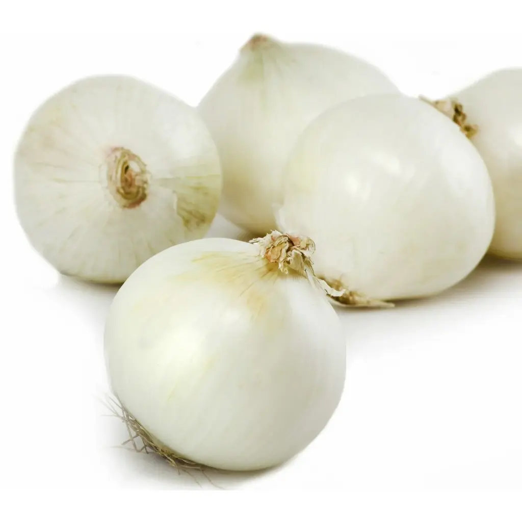 MINI WHITE ONION - PUNNET MINI OIGNON BLANC - BQT