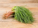 MONKS BEARD - BARBE DE MOINE