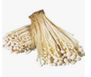 MUSHROOM ENOKI 100G BAG - CHAMPIGNON ENOKI SACHET 100G