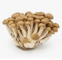 MUSHROOM SHIMIJI BROWN 150G BAG- CHAMPIGNON SHIMIJI MARRON SACHET 150G