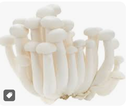 MUSHROOM SHIMIJI WHITE 150G BAG- CHAMPIGNON SHIMIJI BLANC SACHET 150G