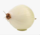 ONION WHITE - OIGNON BLANC 