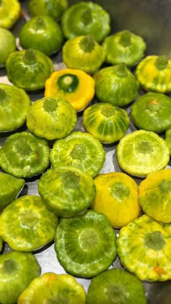PATYPAN GREEN PUNNET - PATISSON VERT PIECE