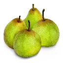 PEAR COMICE - POIRE COMICE FRANCE