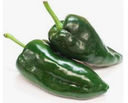 PEPPER CHILLI POBLANO - KG PIMENTS CHILI POBLANO - KG