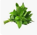 PEPPERMINT - MENTHE POIVREE 