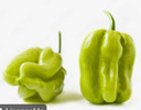 PEPPERS CHILI ANTILLAIS - PIMENT ANTILLAIS 