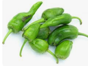 PEPPERS CHILI PADRON - PIMENT VERT DOUX PADRON