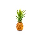 PINEAPPLE MINI VICTORIA - KG ANANAS MINI VICTORIA - KG