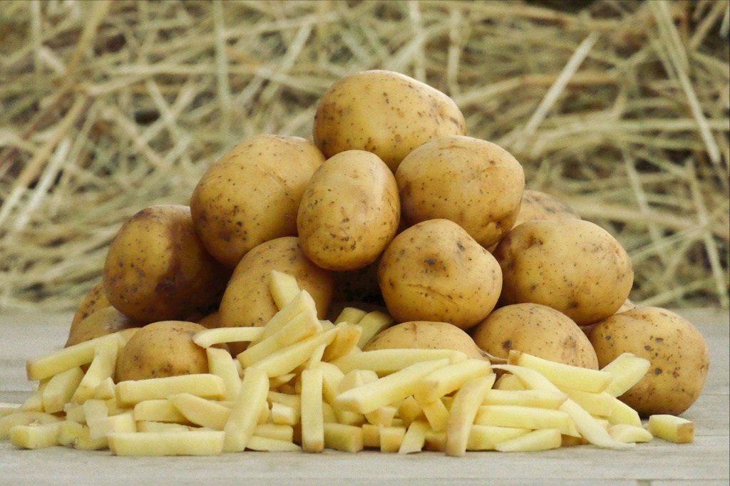 POTATO BIG SPECIAL FRIES  - PDT GROSSE SPECIAL FRITES 