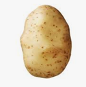 POTATO BINTJE - PDT BINTJE 