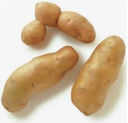 POTATO FINGERLING - KG PATATE FINGERLING - KG
