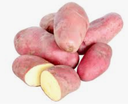 POTATO ROSEVALT - PDT ROSEVALT 