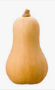 PUMPKIN BUTTERNUT - COURGE BUTTERNUT 