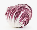 TREVISO RADICCHIO - TRÉVISE  