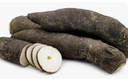 RADISH BLACK LONG/PC - RADIS NOIR LONG/PC
