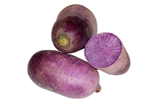 RADISH BLUE - RADIS BLEU