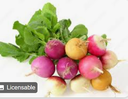 RADISH MULTICOLOUR - BUNCH RADIS MULICOLOR - BOTTE